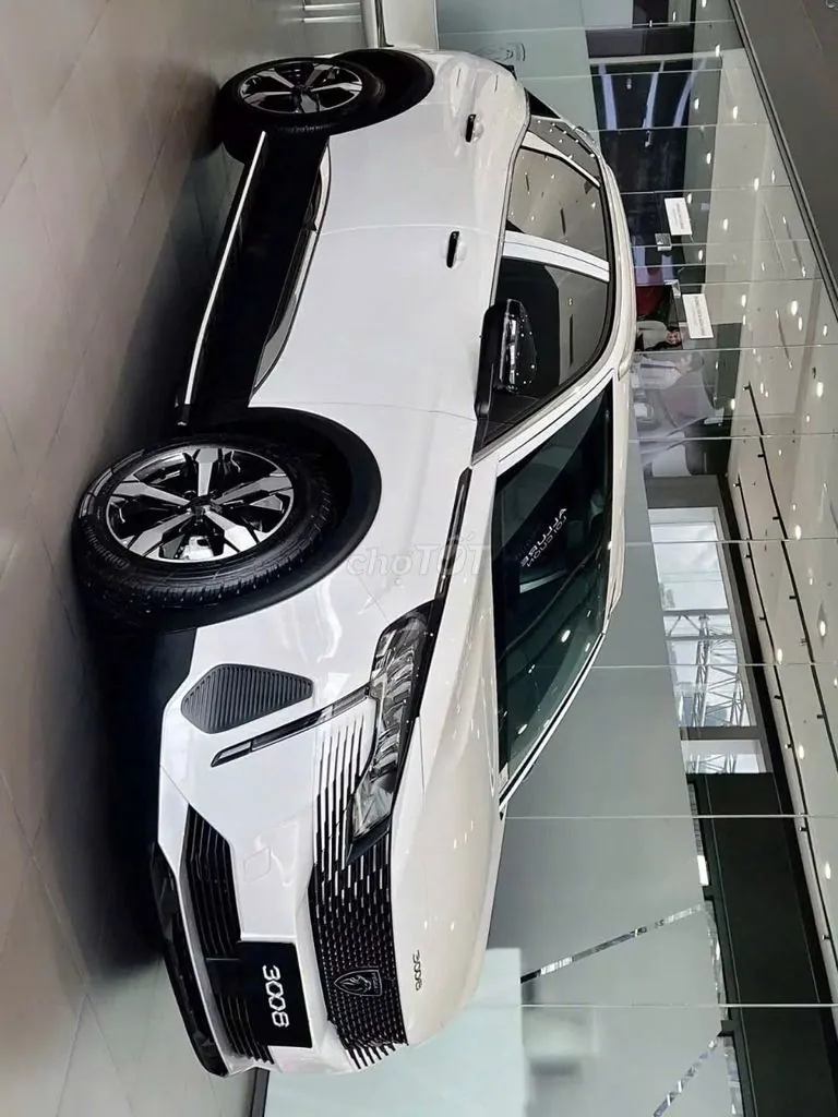 Peugeot 3008 2021 photo 3