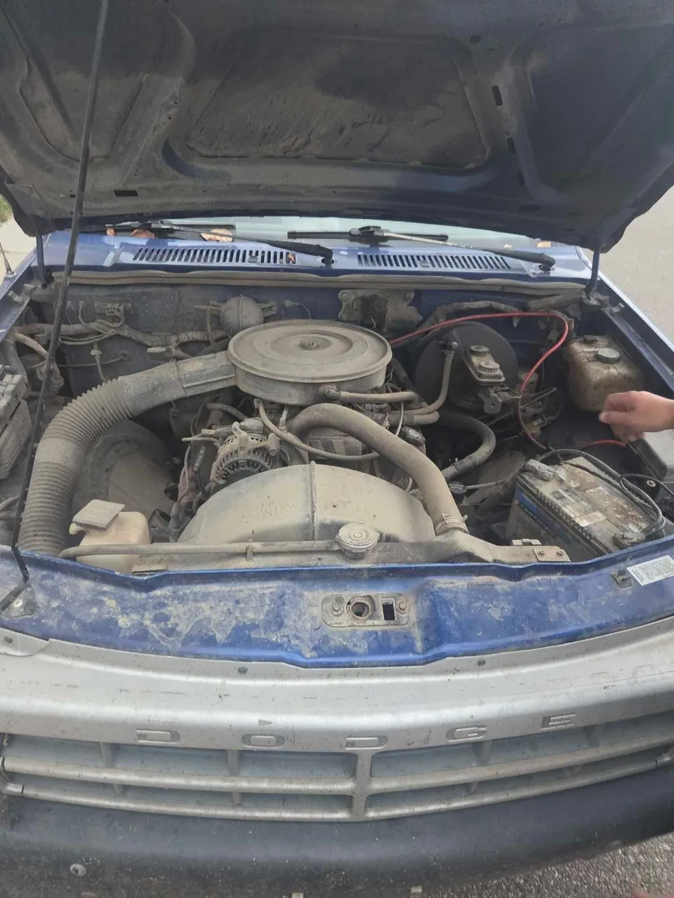 Dodge Dakota 1995 photo 5