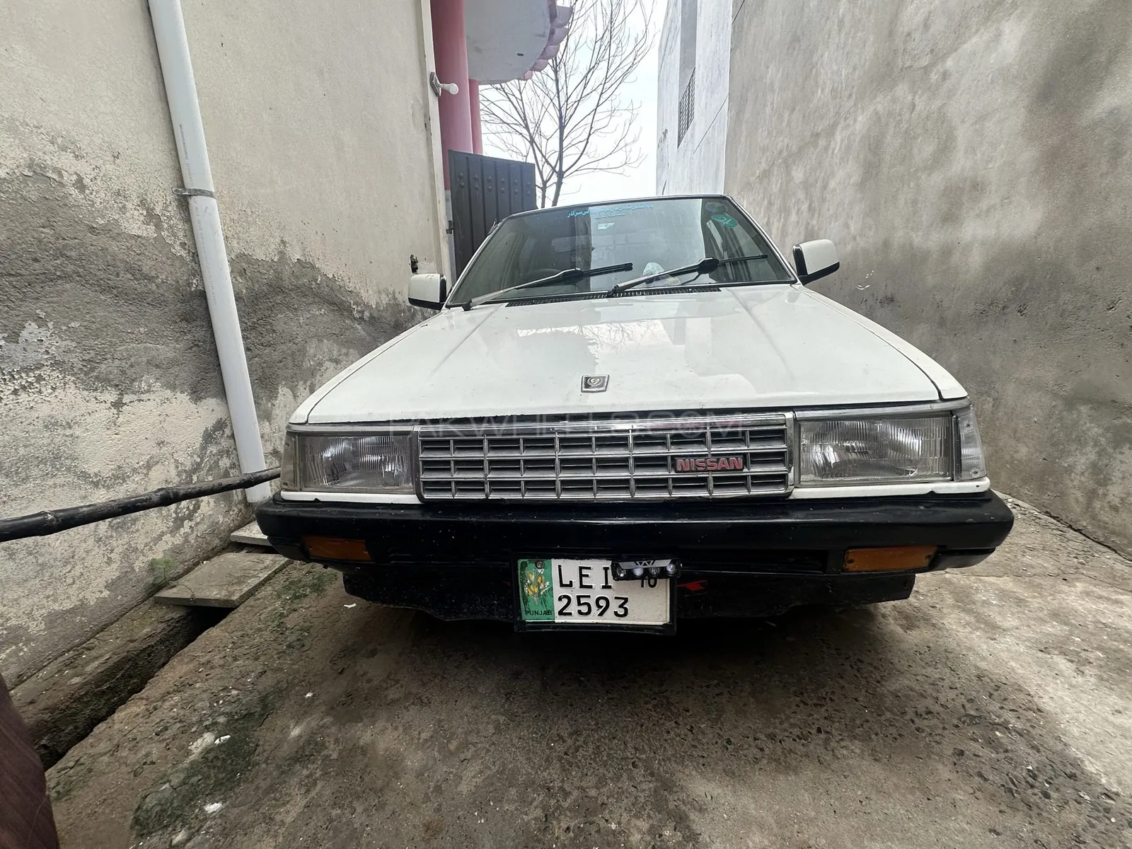 Nissan Sunny