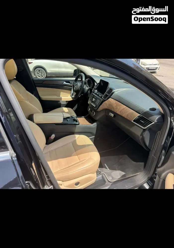 Mercedes-Benz Gle-Class 2019 photo 3