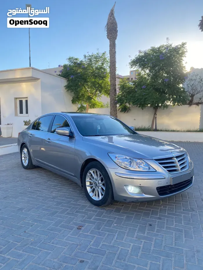 Genesis Sonata 2010 photo 4