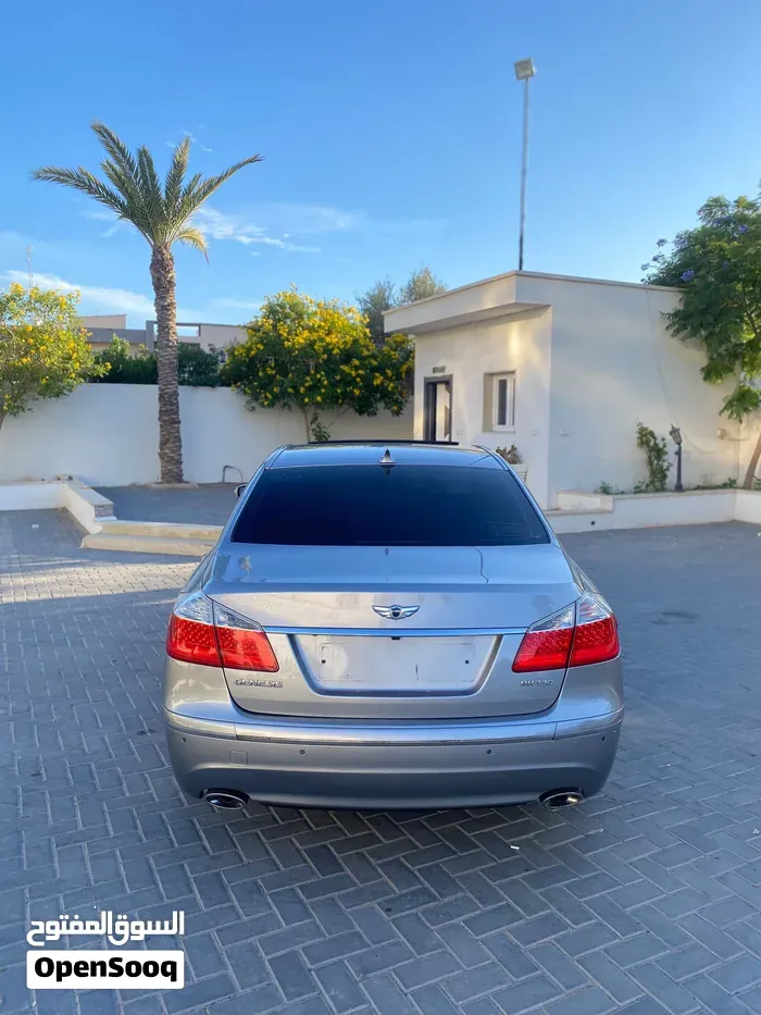 Genesis Sonata 2010 photo 2