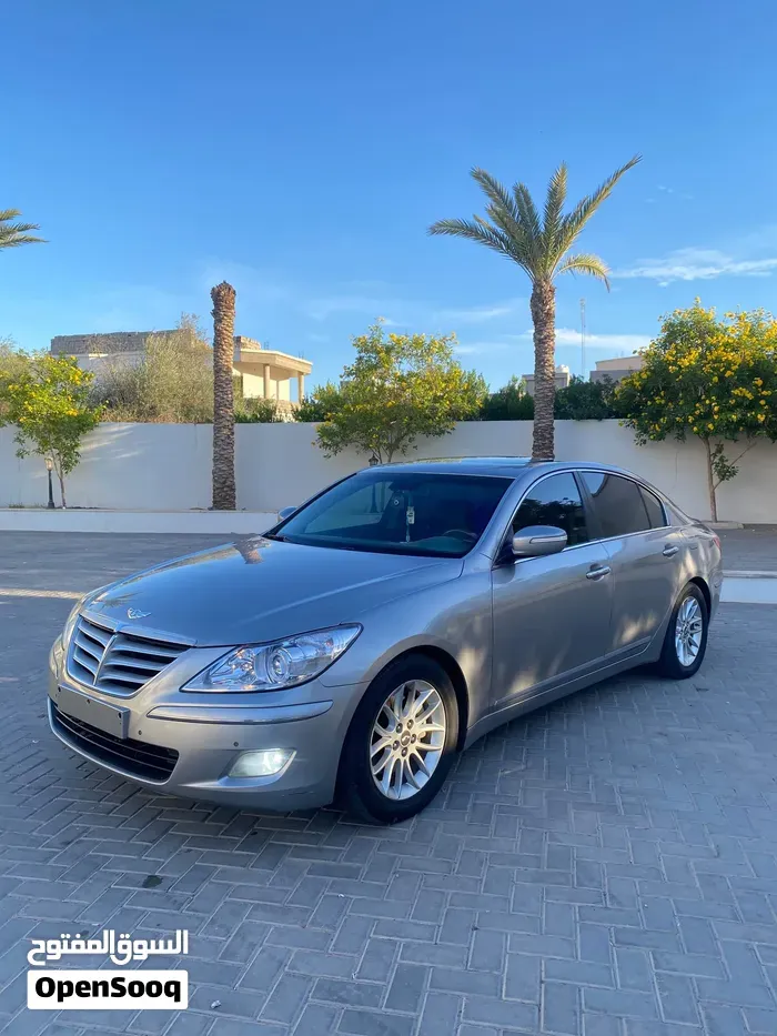 Genesis Sonata 2010 photo 3