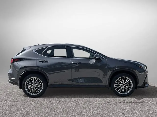Lexus Nx 350 2023 photo 4