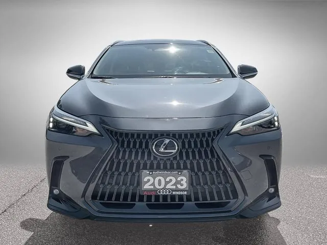 Lexus Nx 350 2023 photo 2