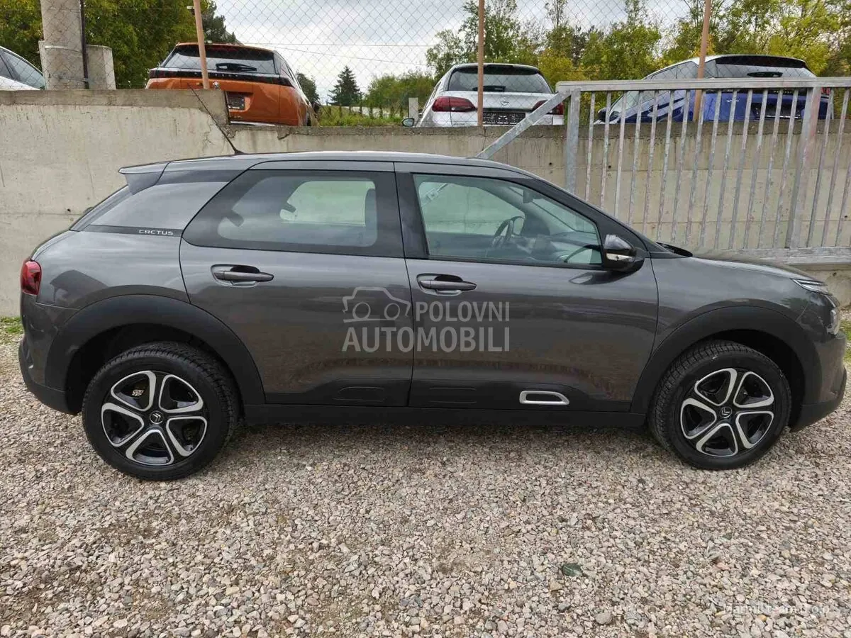 Citroen C4 Cactus 2020 photo 4