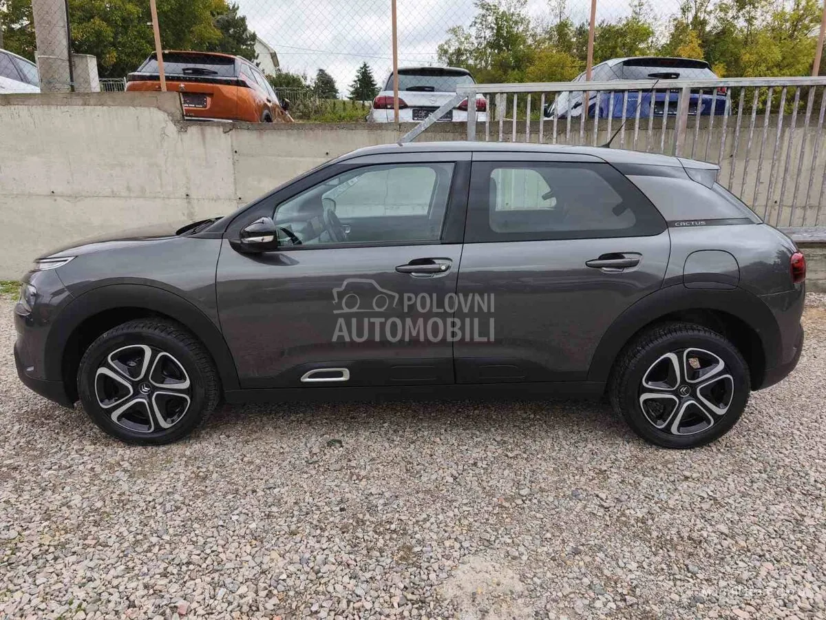 Citroen C4 Cactus 2020 photo 5