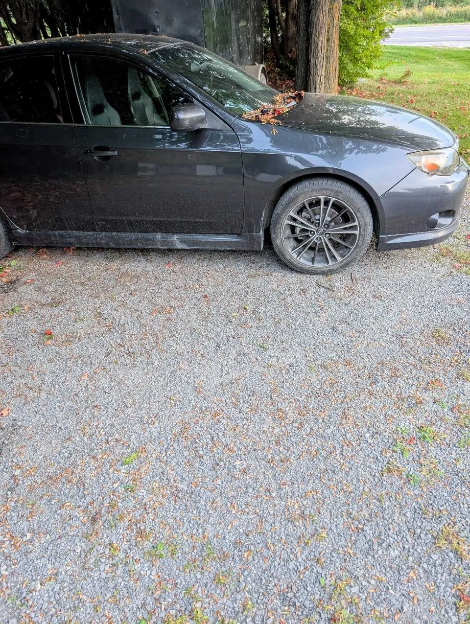 Subaru Impreza 2010 photo 2