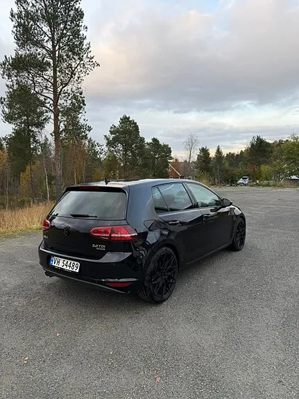Volkswagen Golf Vii 2014 photo 4