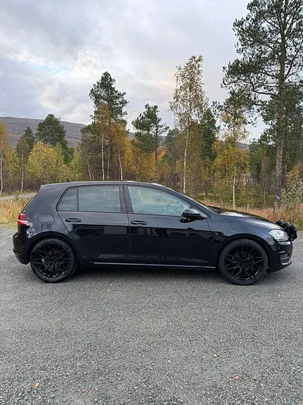 Volkswagen Golf Vii 2014 photo 3