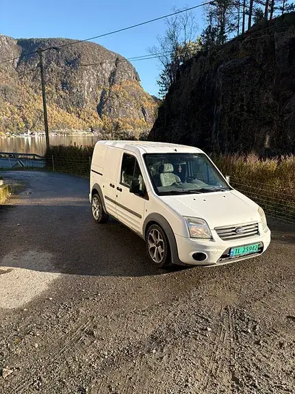 Ford Transit Connect 2010 photo 2