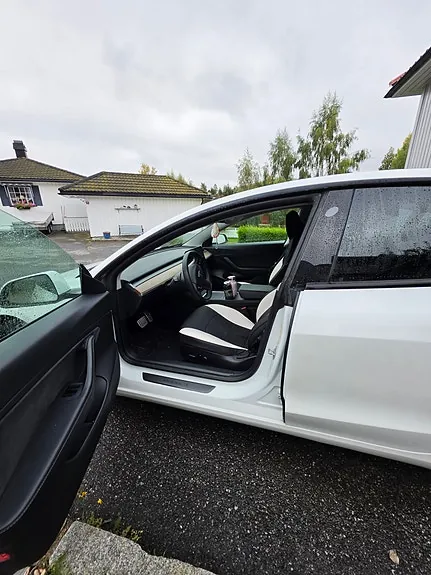 Tesla Model 3 2021 photo 5