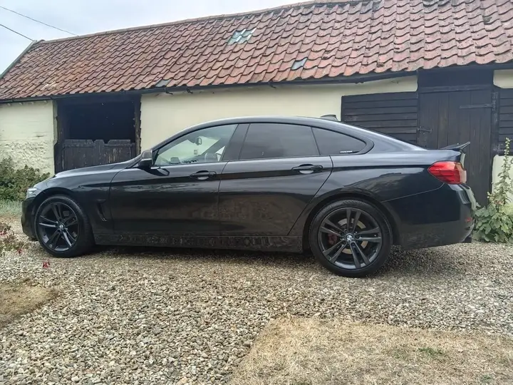 BMW 4 Series Gran Coupe 2014 photo 3