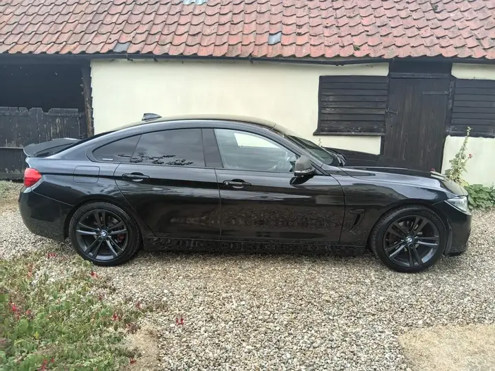 BMW 4 Series Gran Coupe 2014 photo 5
