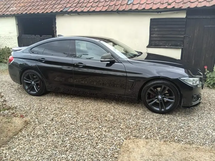 BMW 4 Series Gran Coupe 2014 photo 4