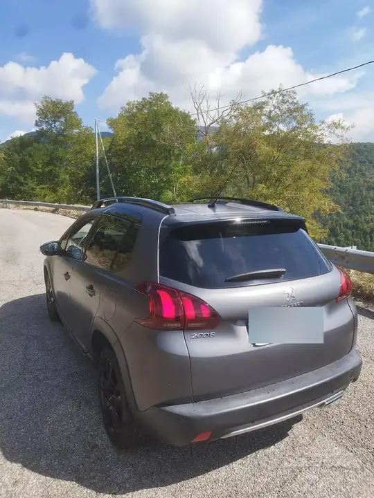 Peugeot 2008 2017 photo 2