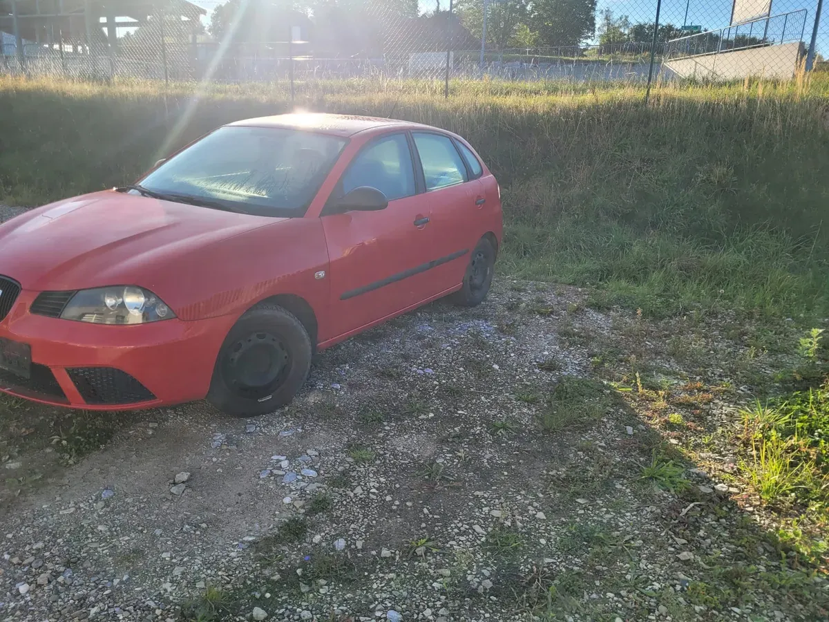 Seat Ibiza 2010 photo 3