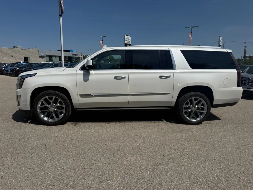 Cadillac Escalade Esv 2019 photo 5