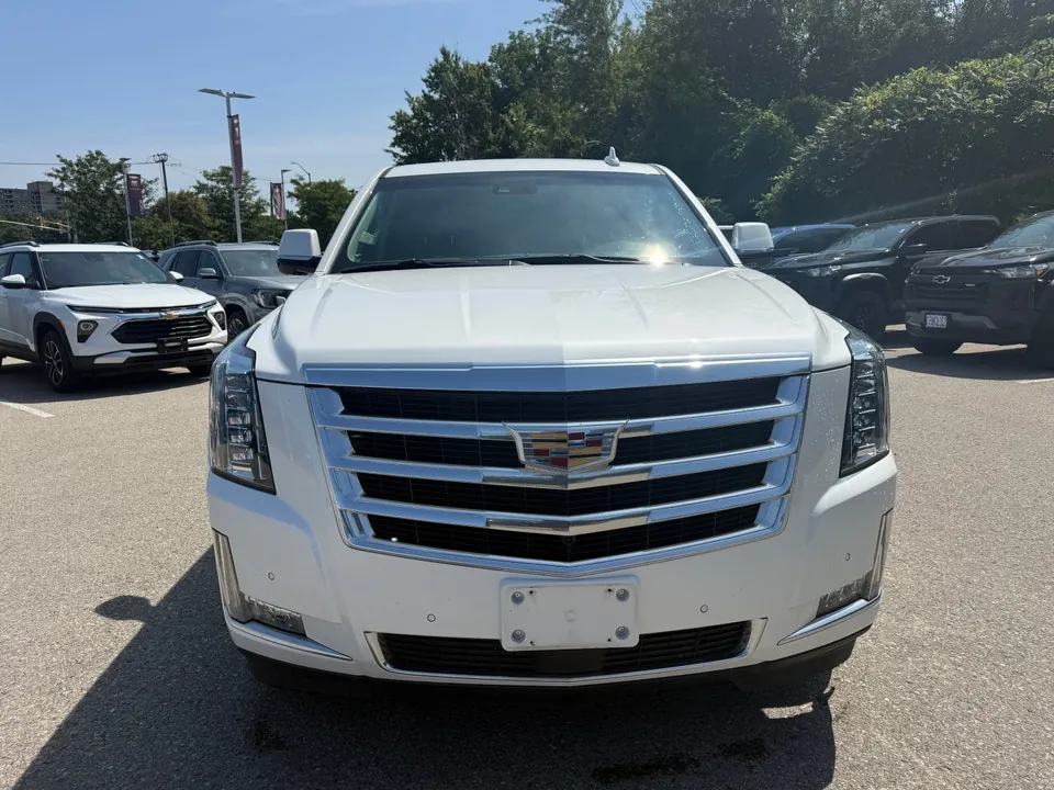 Cadillac Escalade Esv 2019 photo 2
