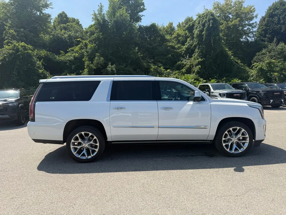 Cadillac Escalade Esv 2019 photo 4