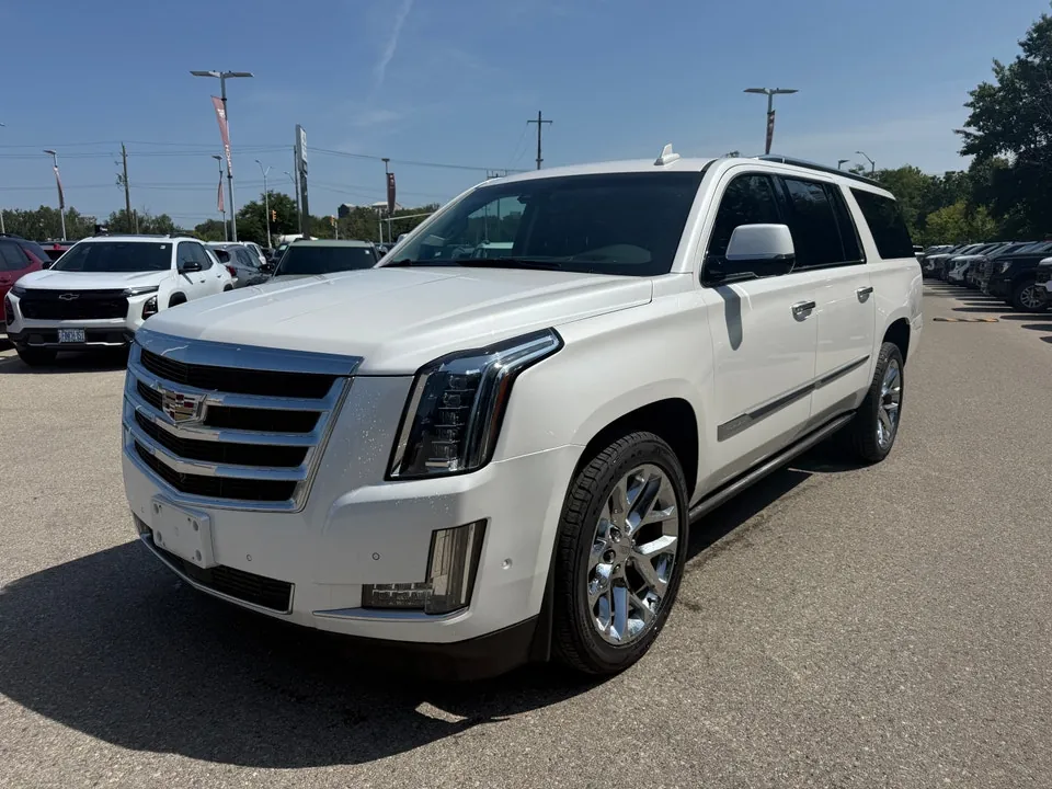Cadillac Escalade Esv 2019 photo 3