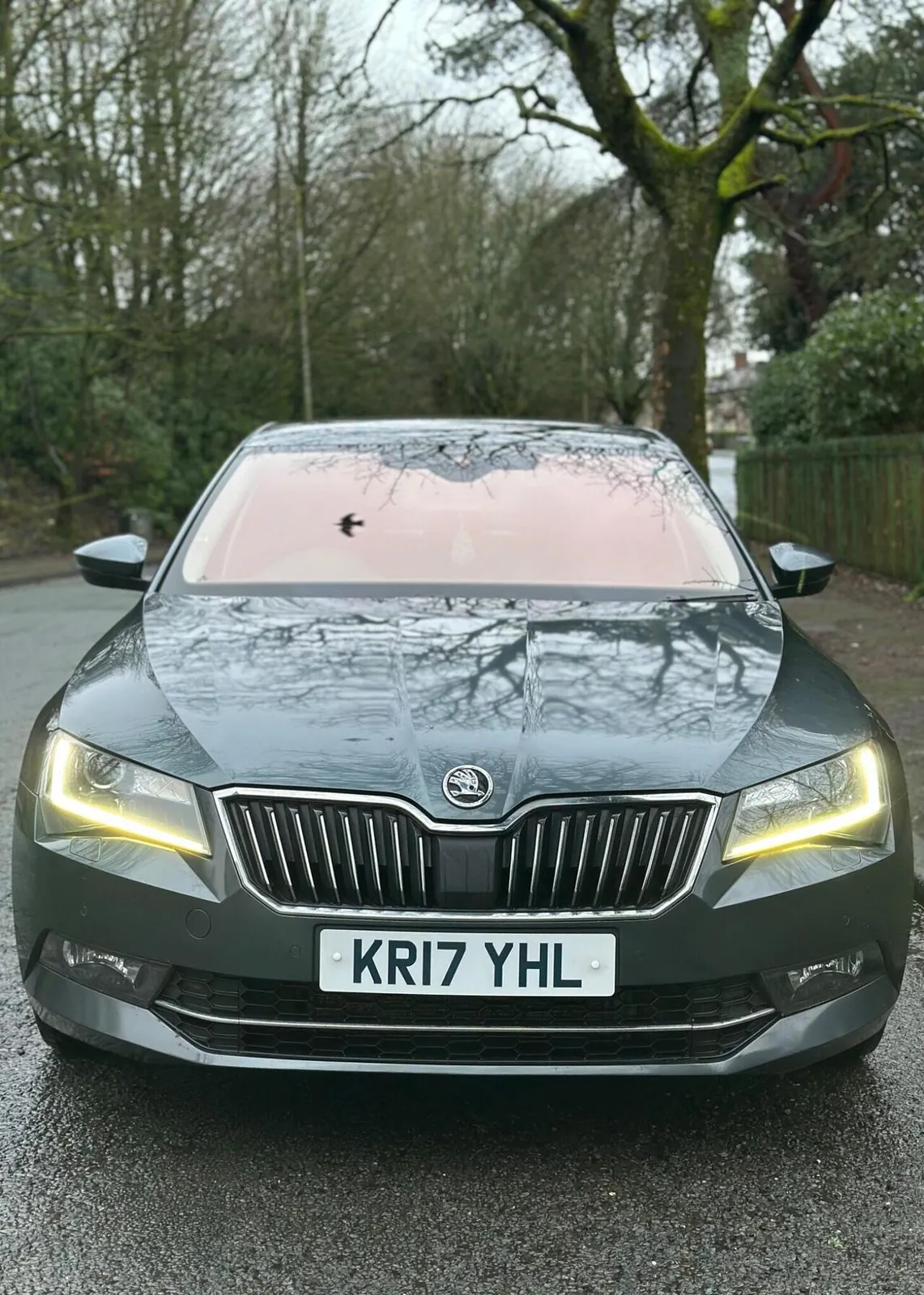 Skoda Superb 2017 photo 2