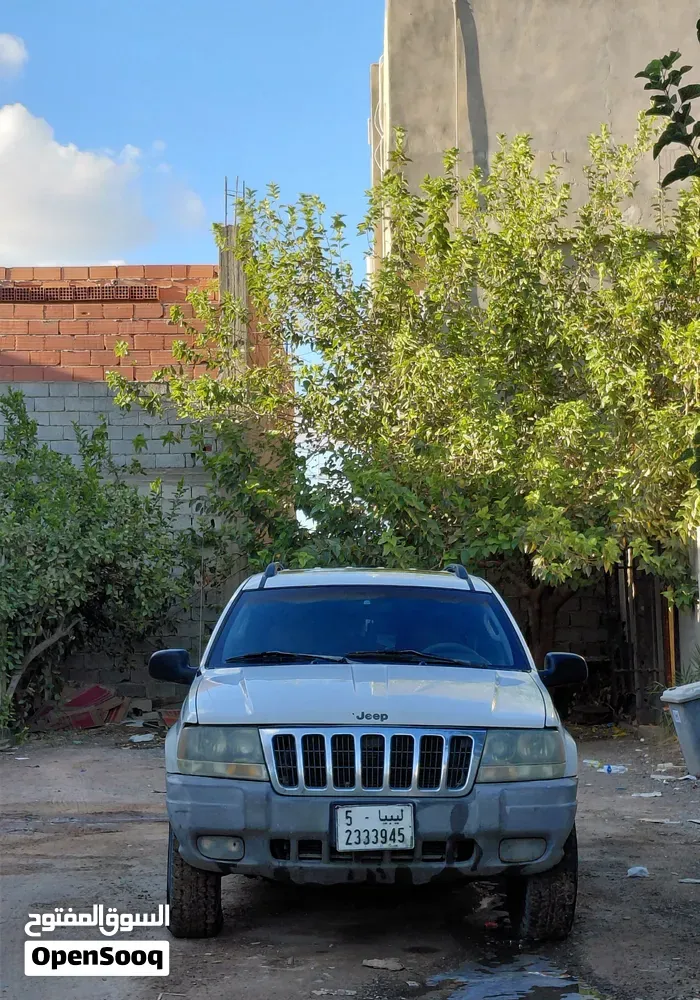 Jeep Grand Cherokee 2002 photo 5