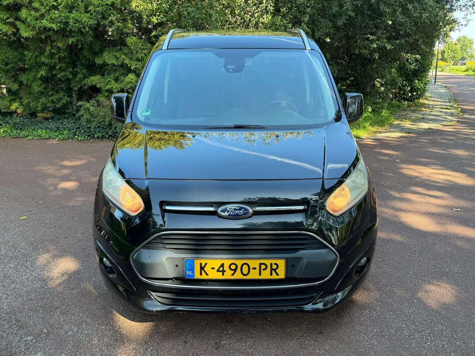 Ford Tourneo Connect 2014 photo 2