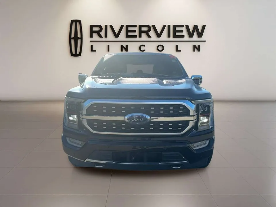 Ford F-150 2023 photo 2