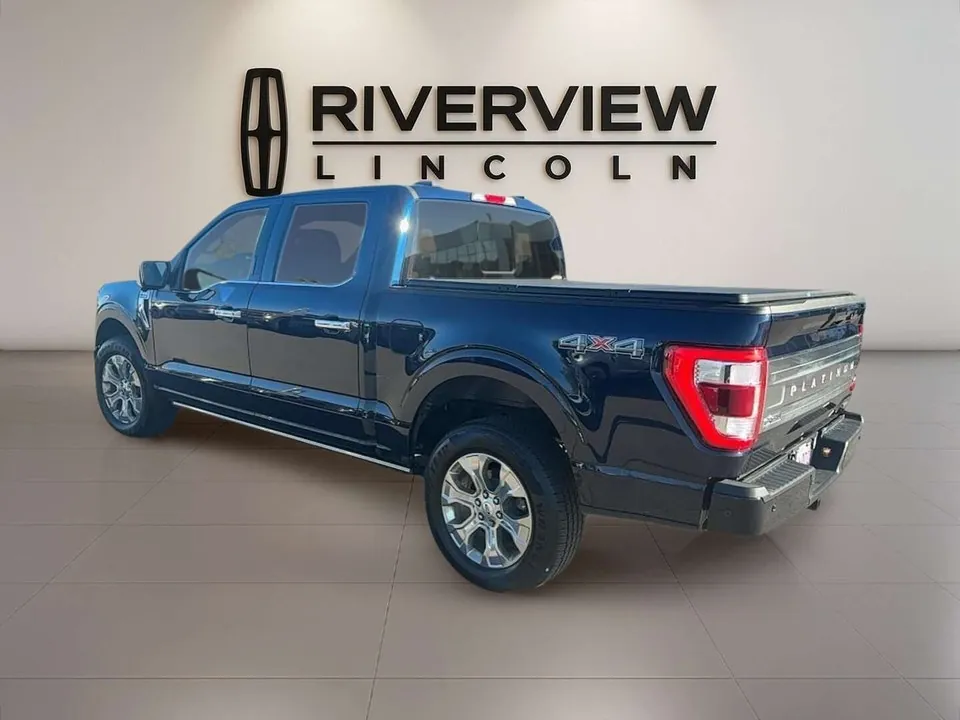 Ford F-150 2023 photo 4