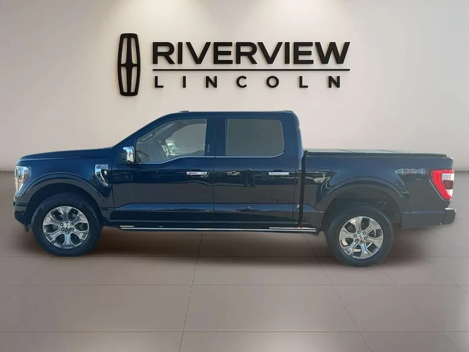 Ford F-150 2023 photo 5