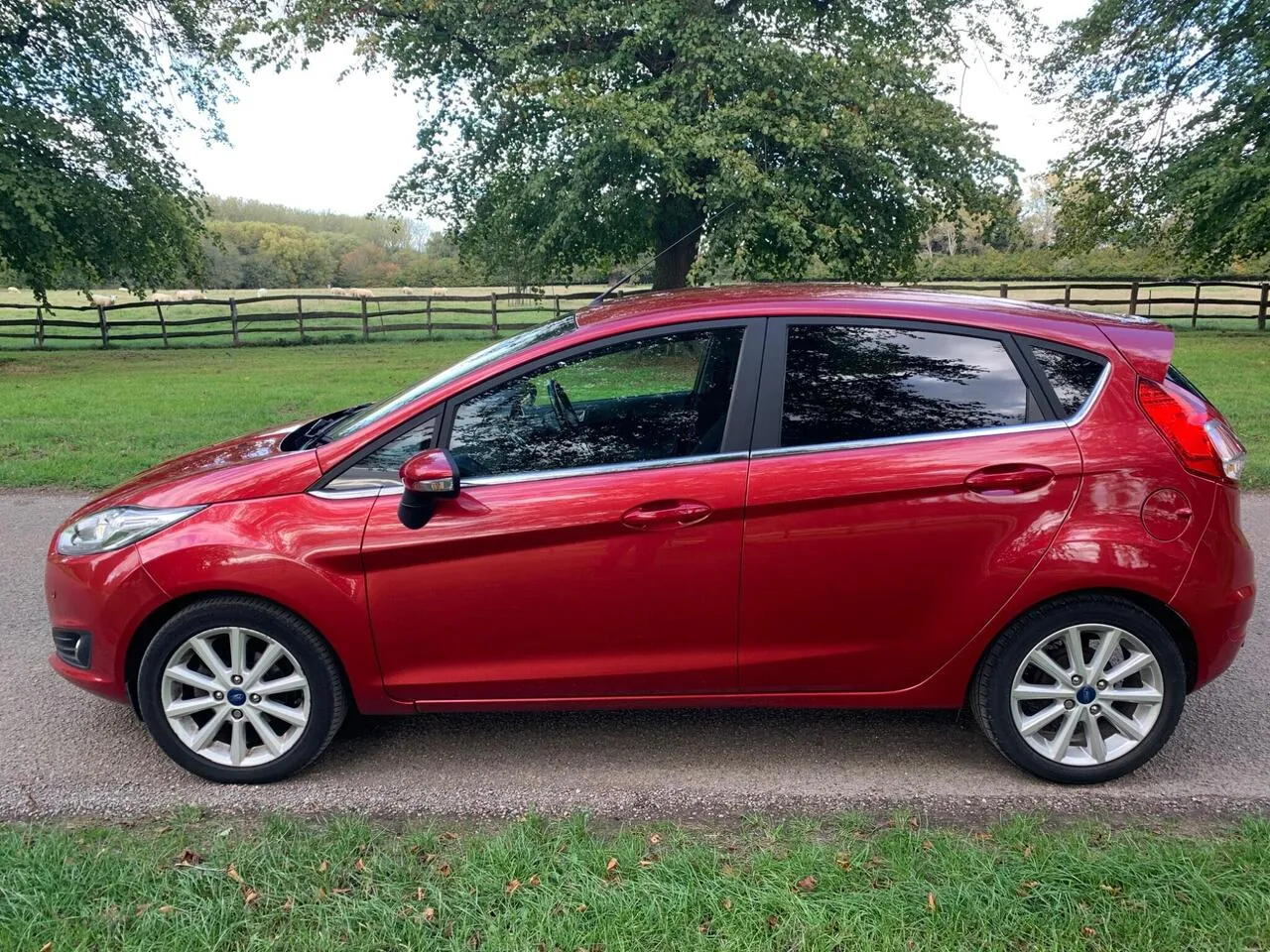 Ford Fiesta 2016 photo 2