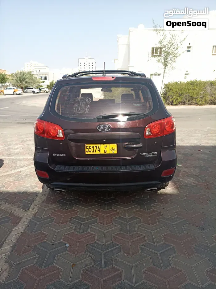 Hyundai Santa Fe 2010 photo 3