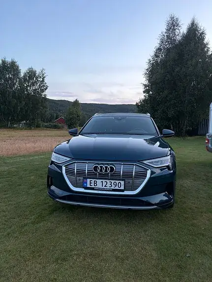 Audi E-Tron 2020 photo 2