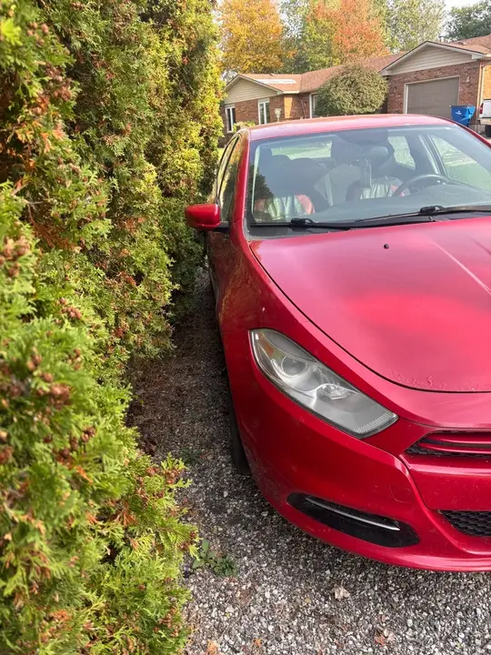 Dodge Dart 2013 photo 2