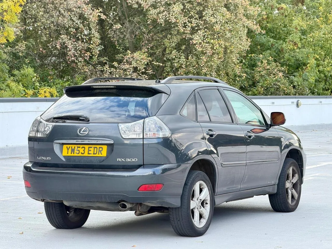 Lexus Rx 2004 photo 2