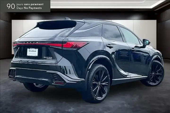 Lexus Rx 2023 photo 2