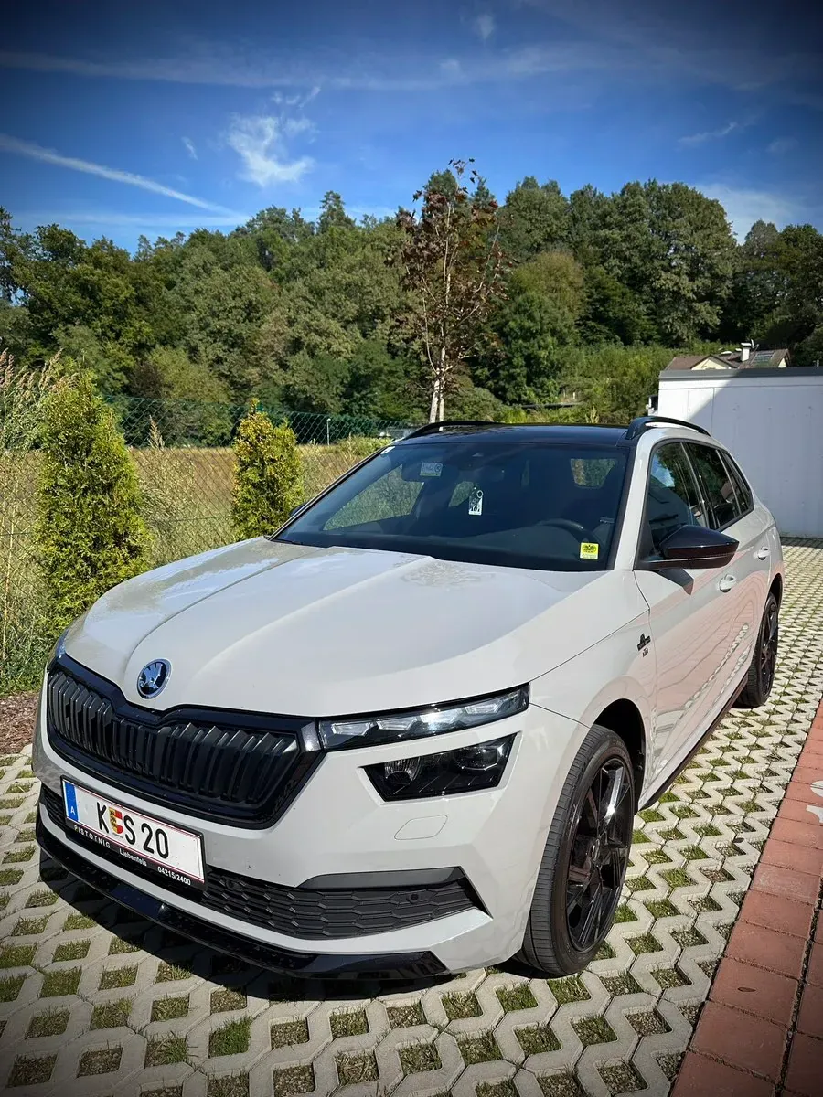 Skoda Kamiq 2021 photo 3