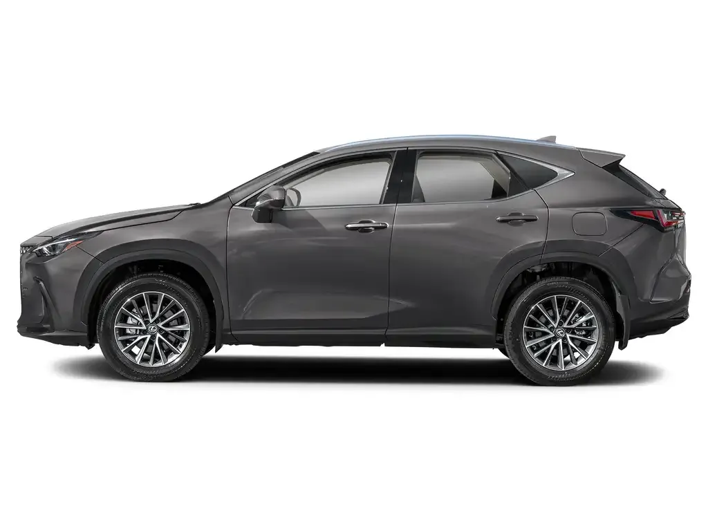 Lexus Nx 2024 photo 3