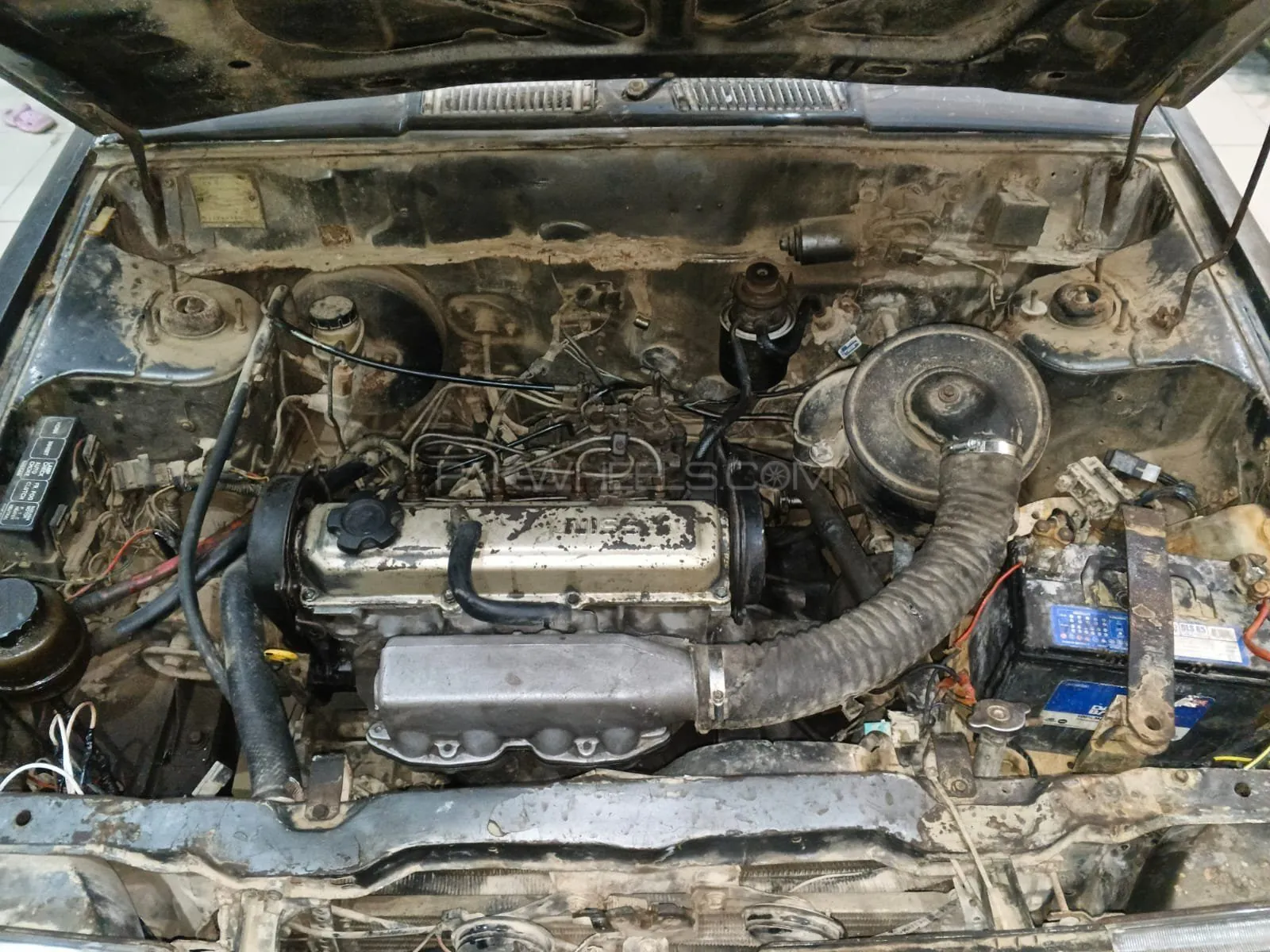 Nissan Sunny