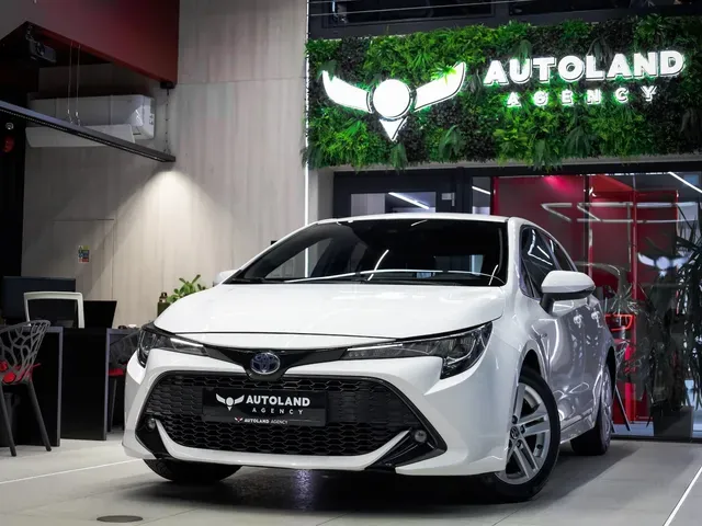 Toyota Corolla 2019 photo 3
