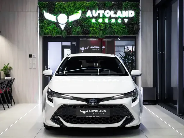 Toyota Corolla 2019 photo 2
