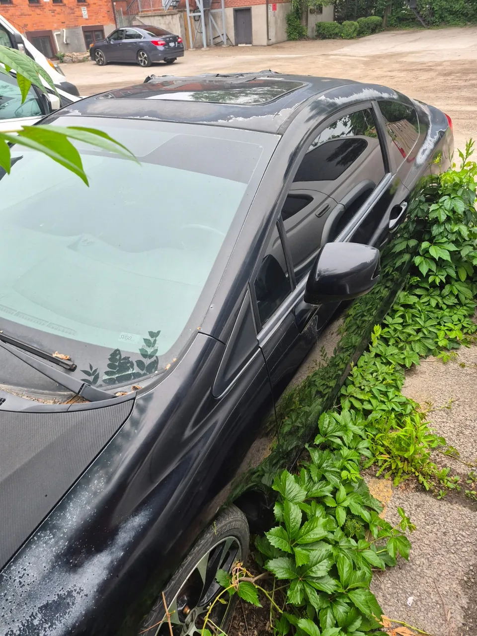 Honda Civic 2013 photo 3