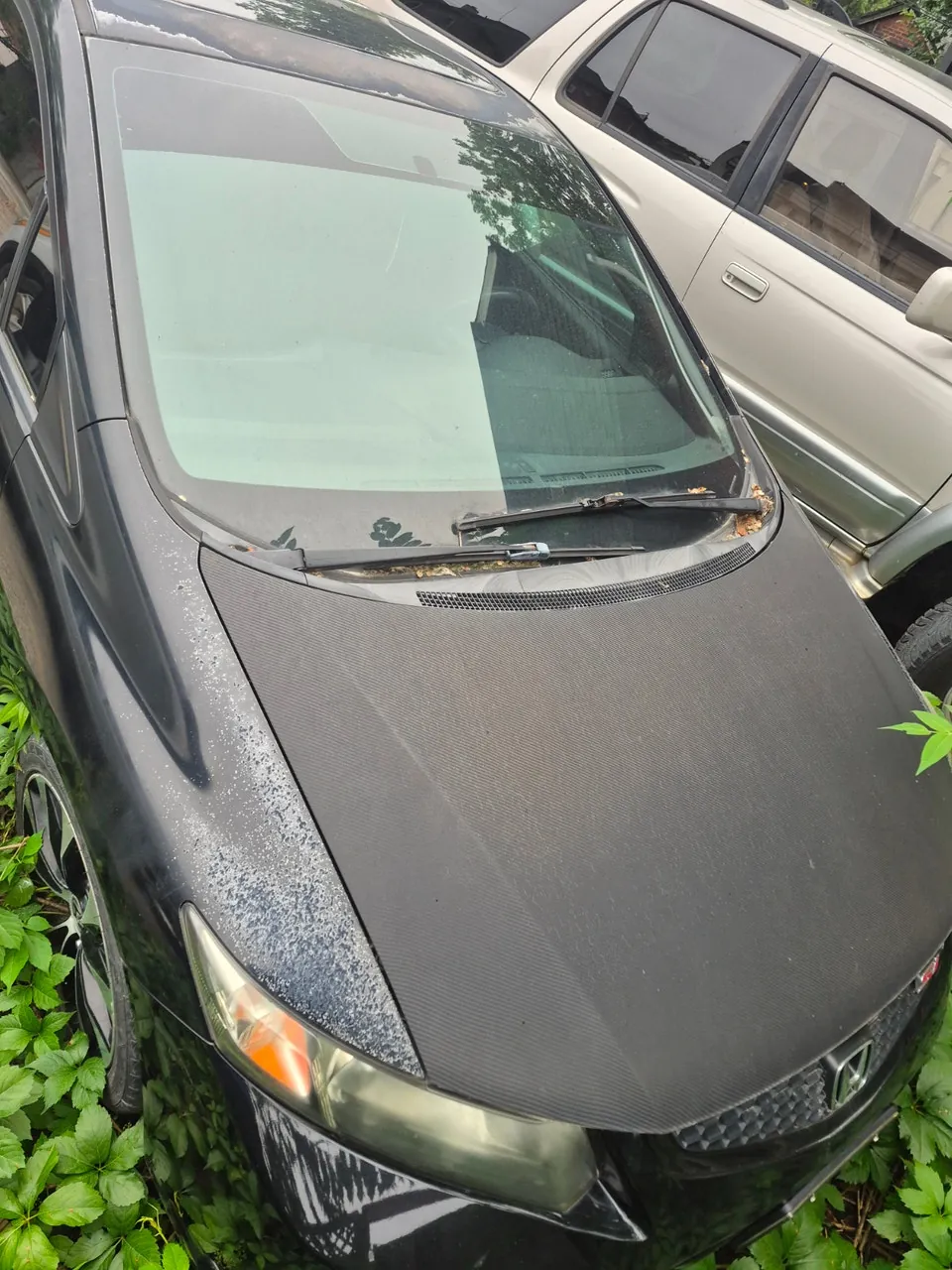 Honda Civic 2013 photo 5