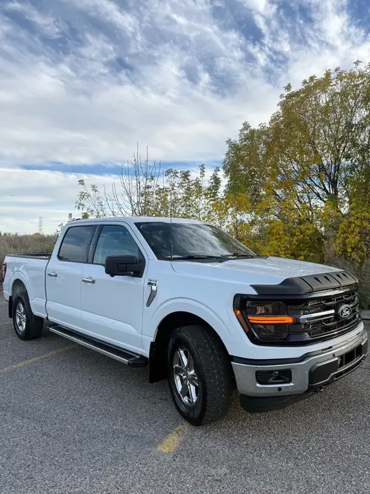 Ford F-150 2024 photo 3