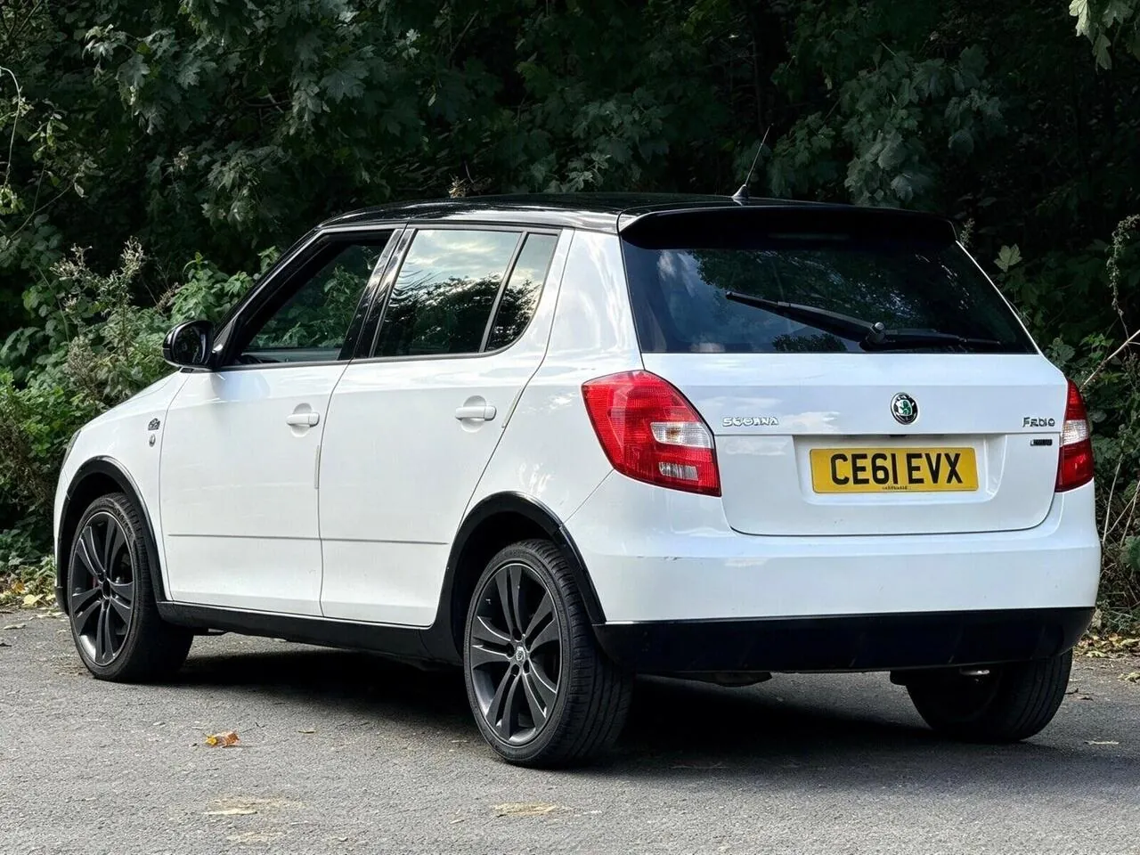 Skoda Fabia 2011 photo 2