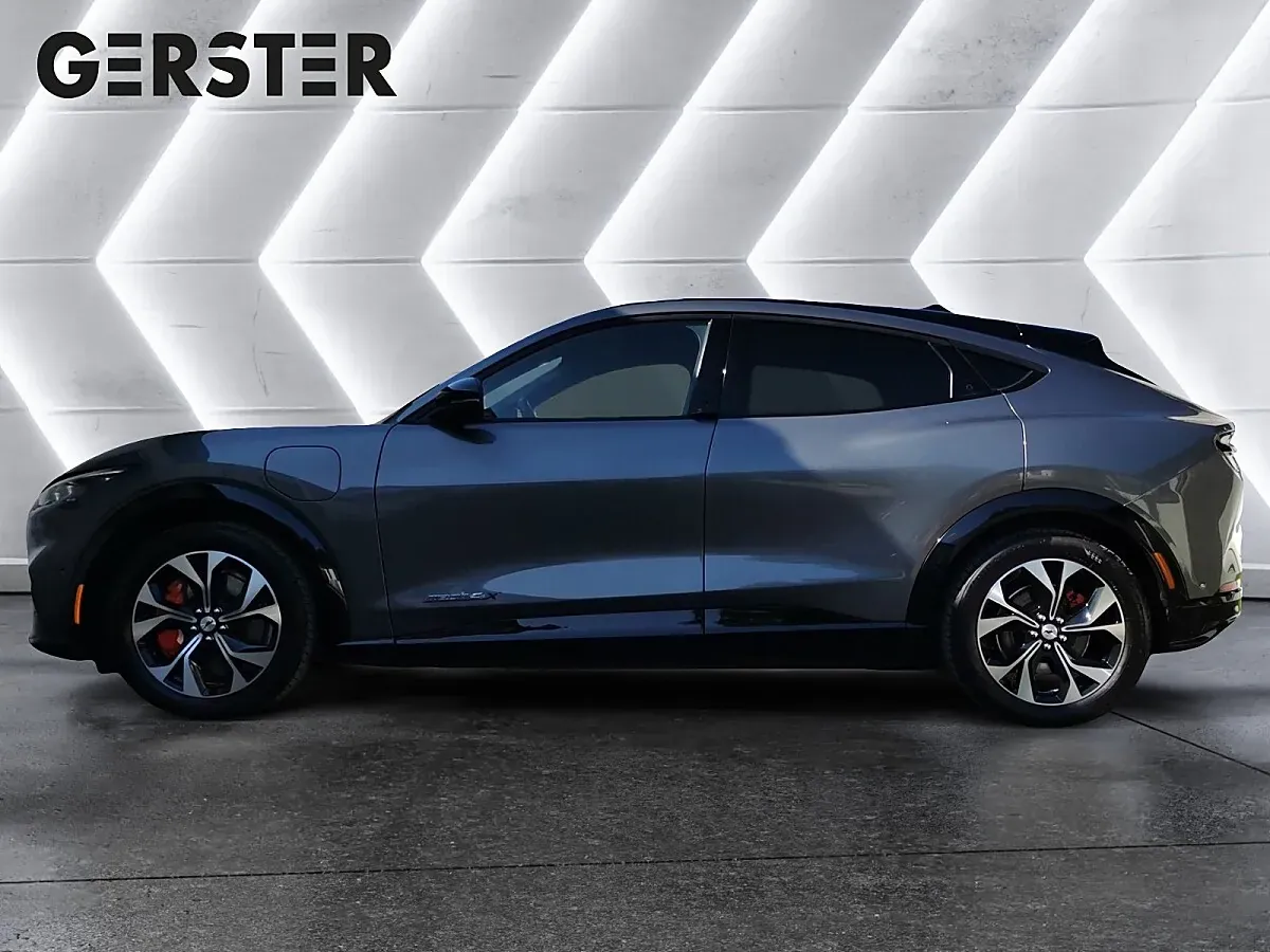Ford Mustang Mach-E 2021 photo 3