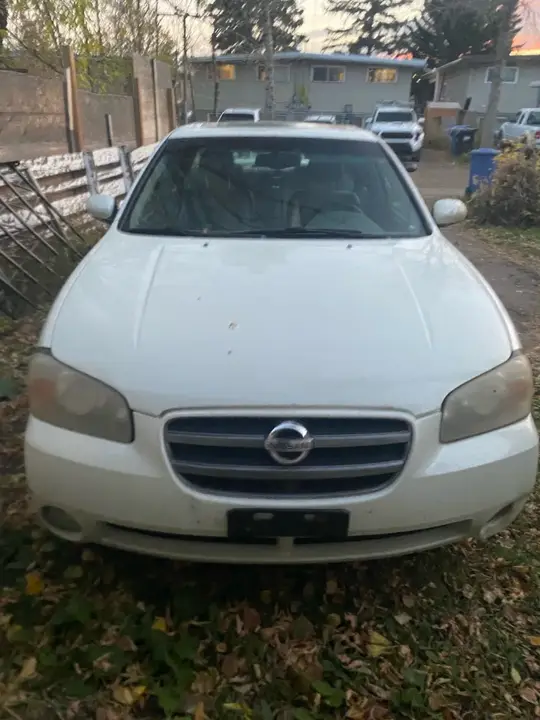 Nissan Maxima