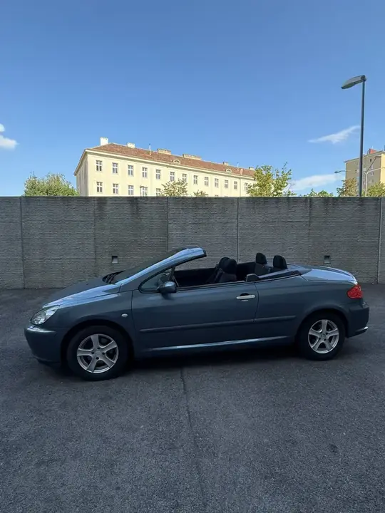Peugeot 307 2004 photo 3