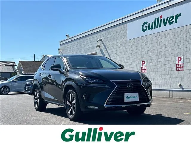 Toyota Nx
